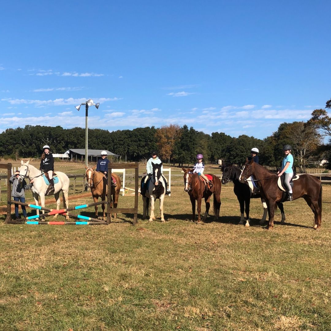 Group Riding Lessons – Amazing Gaits Equestrian Center