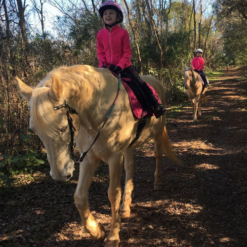Group Riding Lessons - 1 Hour Weekly